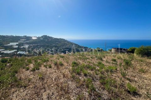 Helårsgrund i Ospedaletti, Imperia, Ospedaletti - € 180.000 | Ref: EM1311 - foto 14